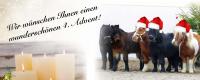 Grüße zum vierten Advent Grüße zum vierten Advent